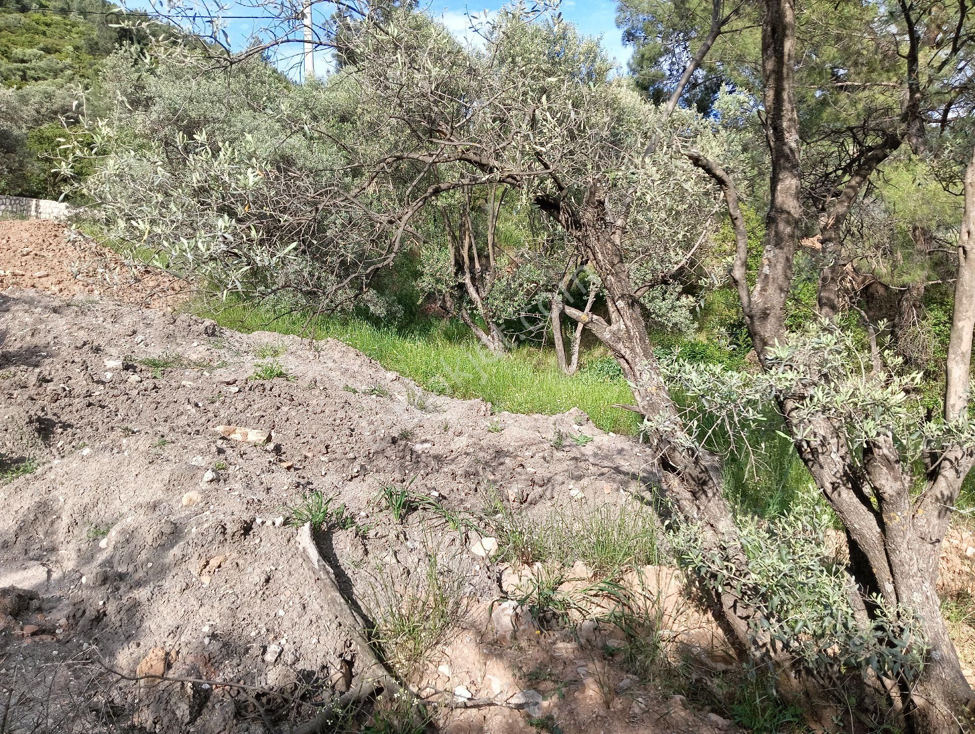 Buca Kaynaklarda Hisse Tapulu Arsa - Görsel 7