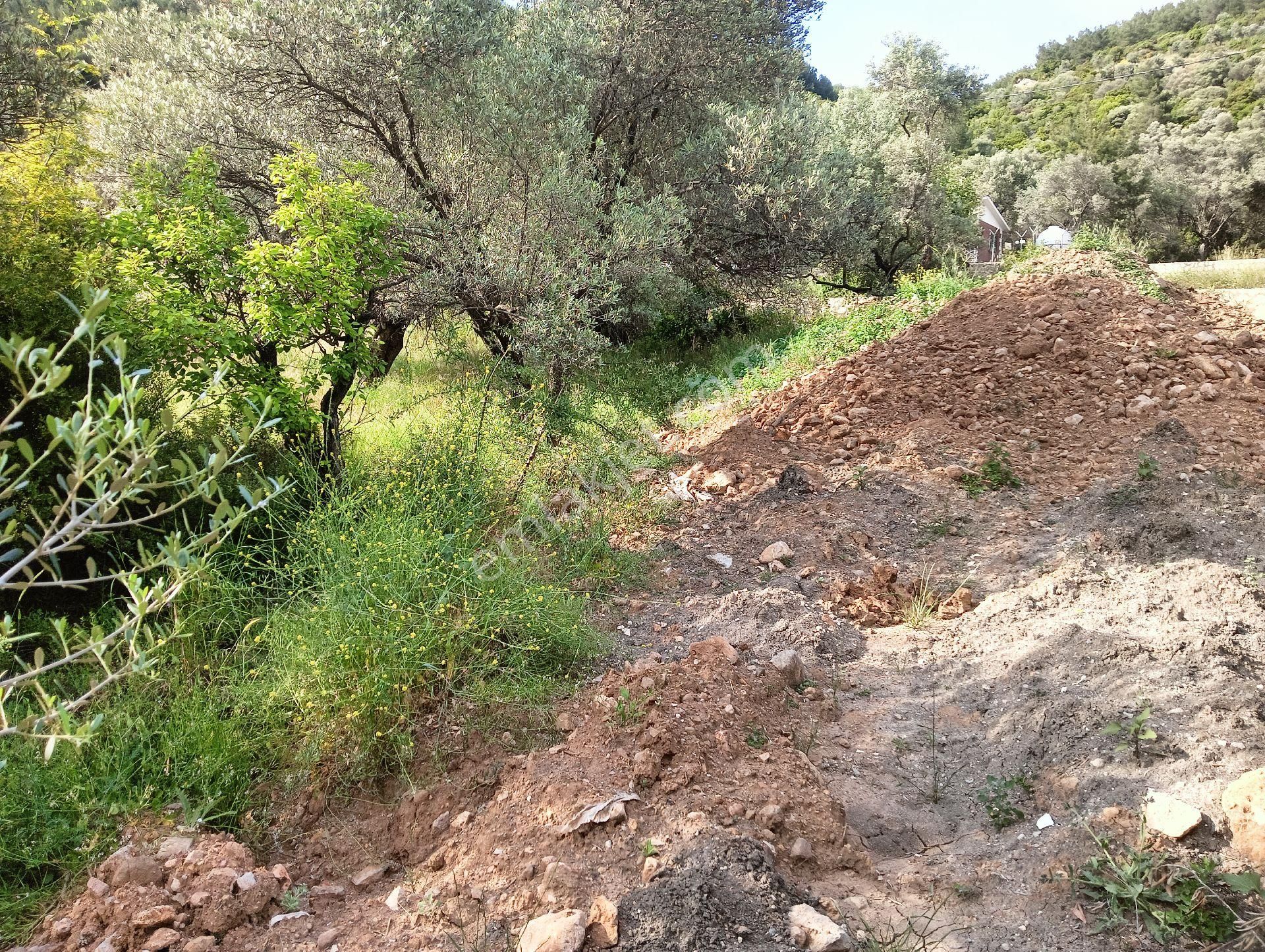 Buca Kaynaklarda Hisse Tapulu Arsa - Görsel 4