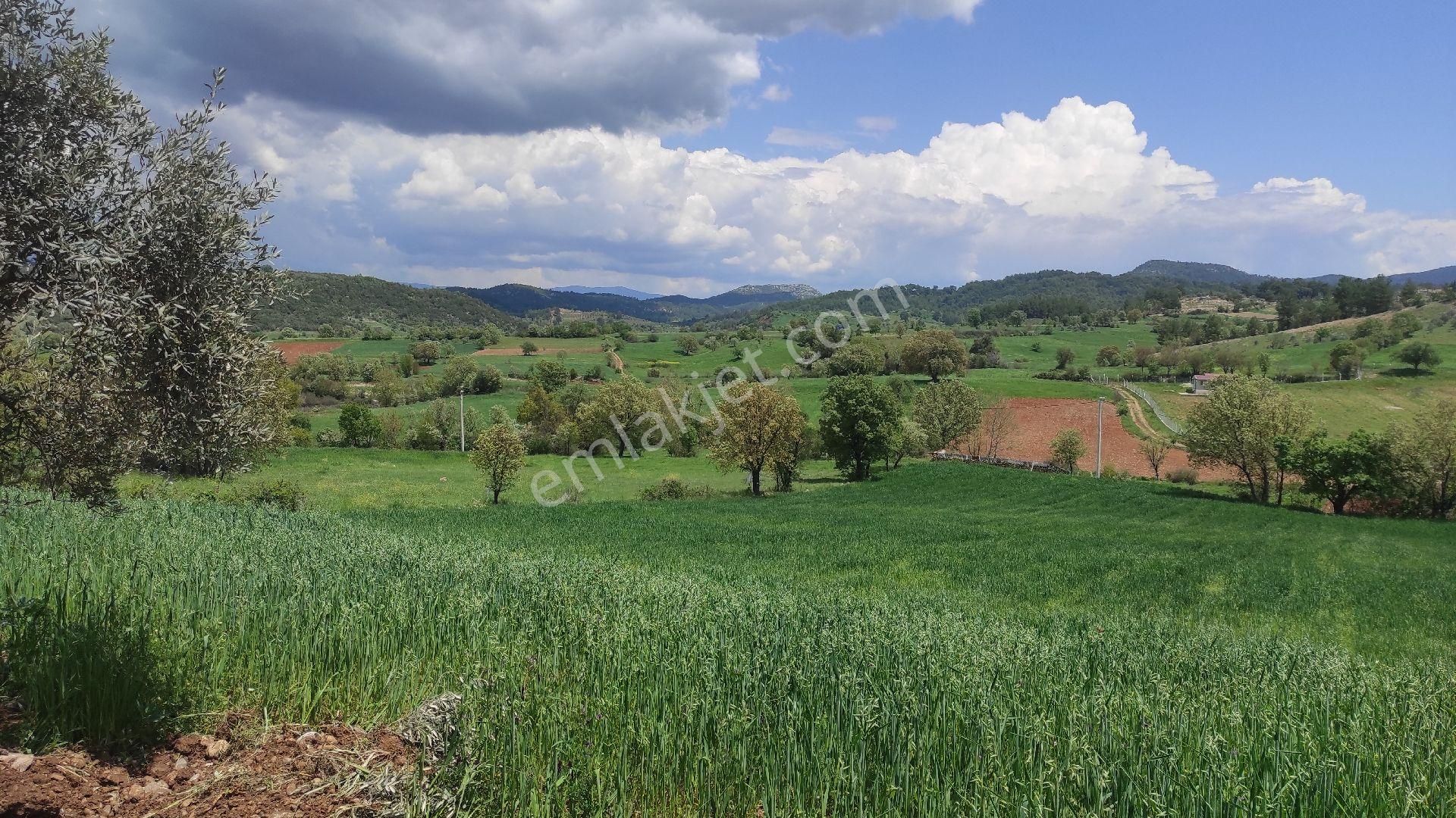 Muğla Menteşe Yenibağyaka Da Satılık Arsa
