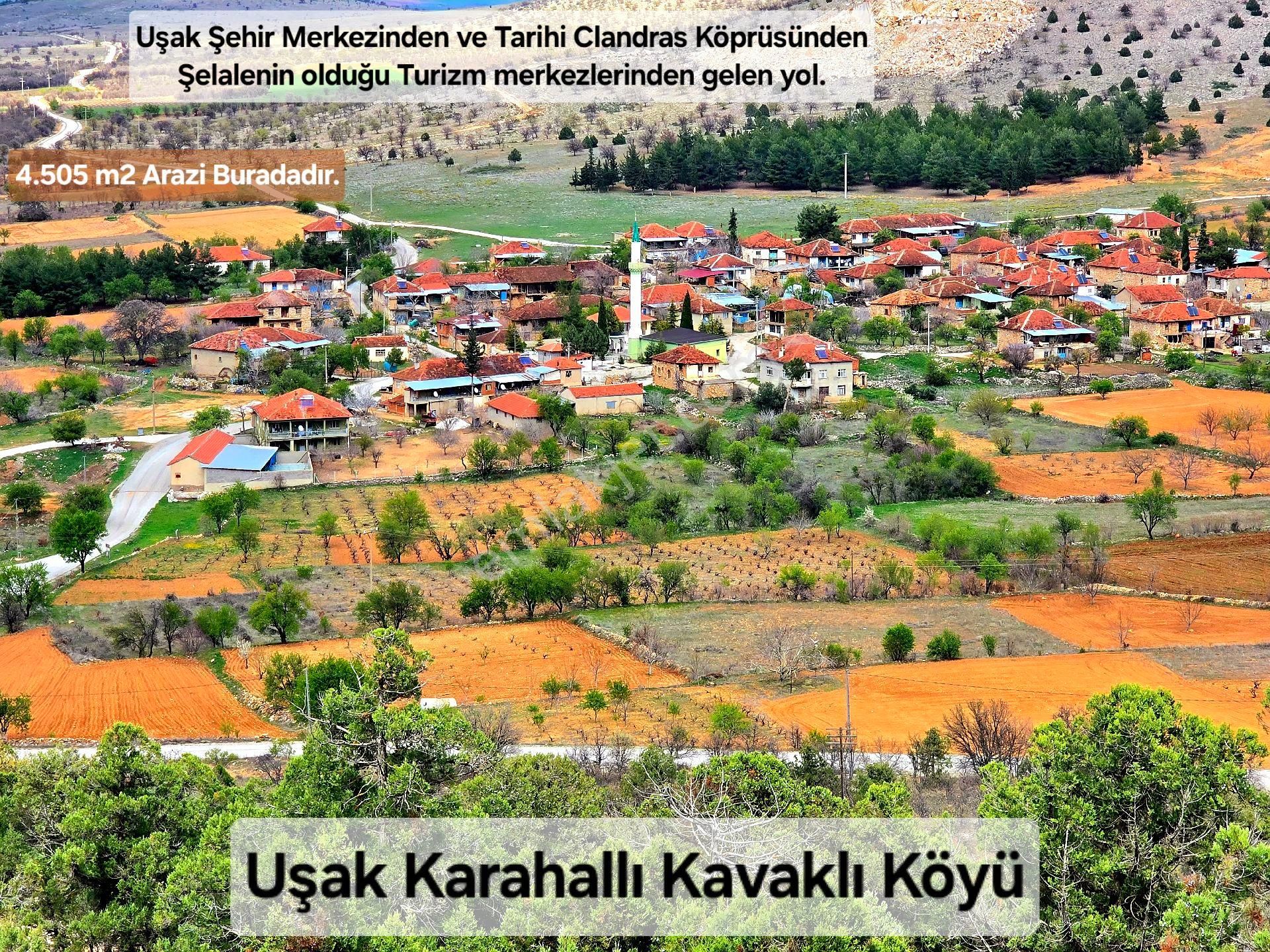 Uşak Karahallı Kavaklı %40 İmarlı Arsa Ve Bağ. Açıklamayı Okuyarak Arayınız