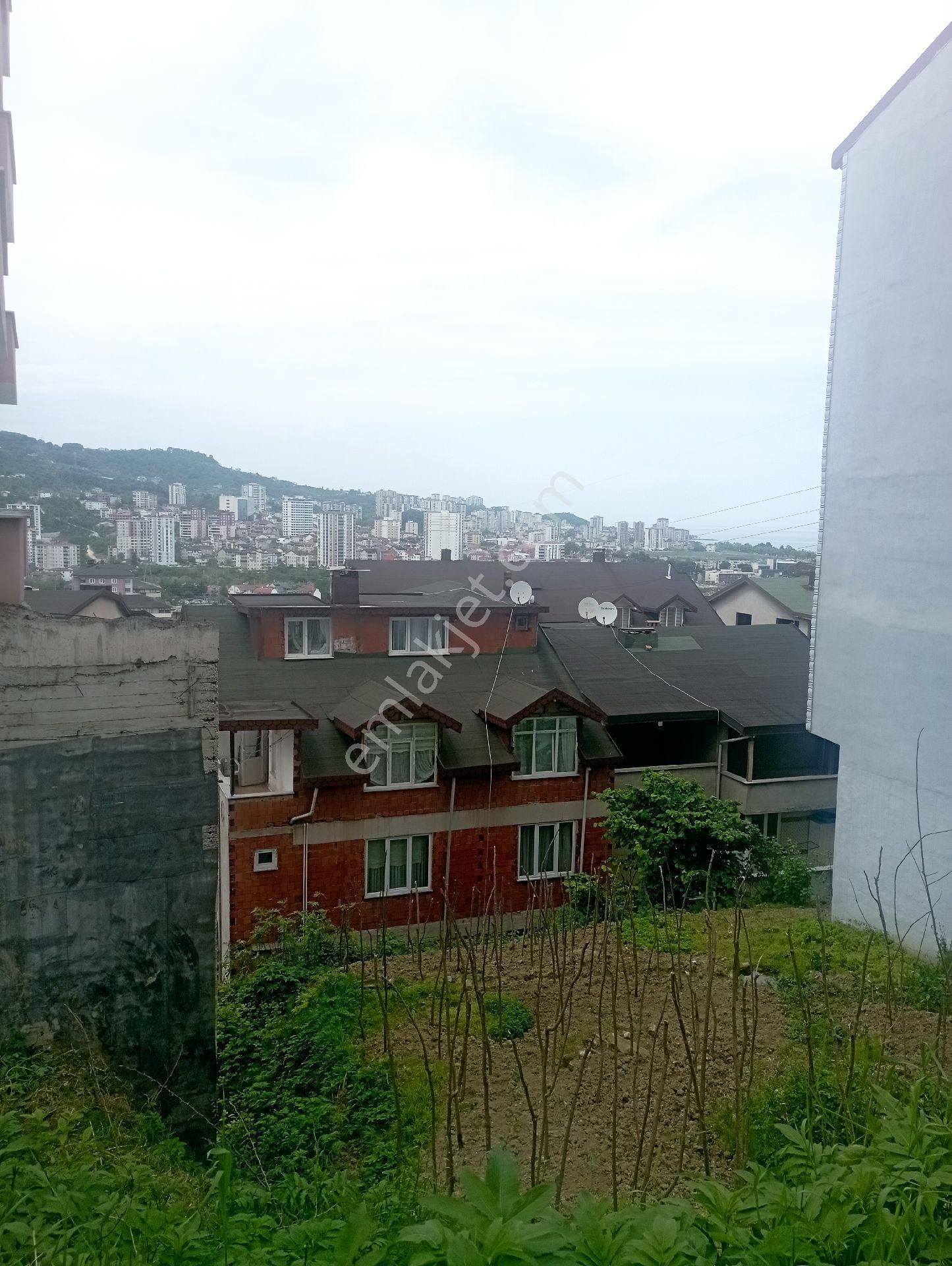 Fatsa Fatih Mahallesinde Satılık Fırsat Arsa - Görsel 3