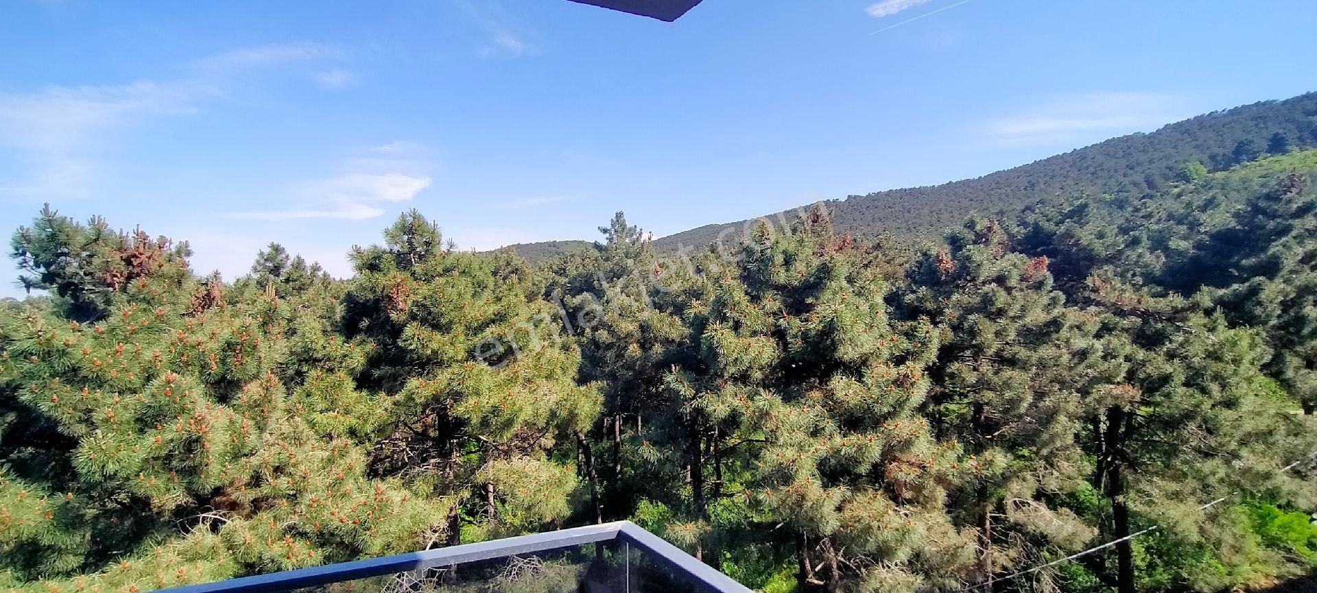 Sancaktepe Satılık 5+2 210m² Üstdubleks Yüksek Tavan Çift Mutfak Çift Banyo Sıfır Daire Asansörlü - Görsel 19