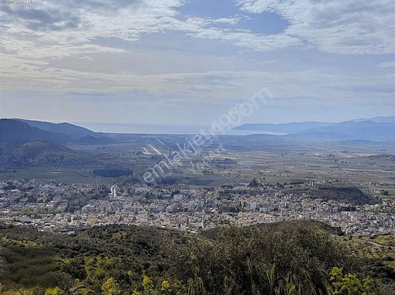 Sirince Köyünde Satılık Sehir Manzaralı Degerli Zeytinlik