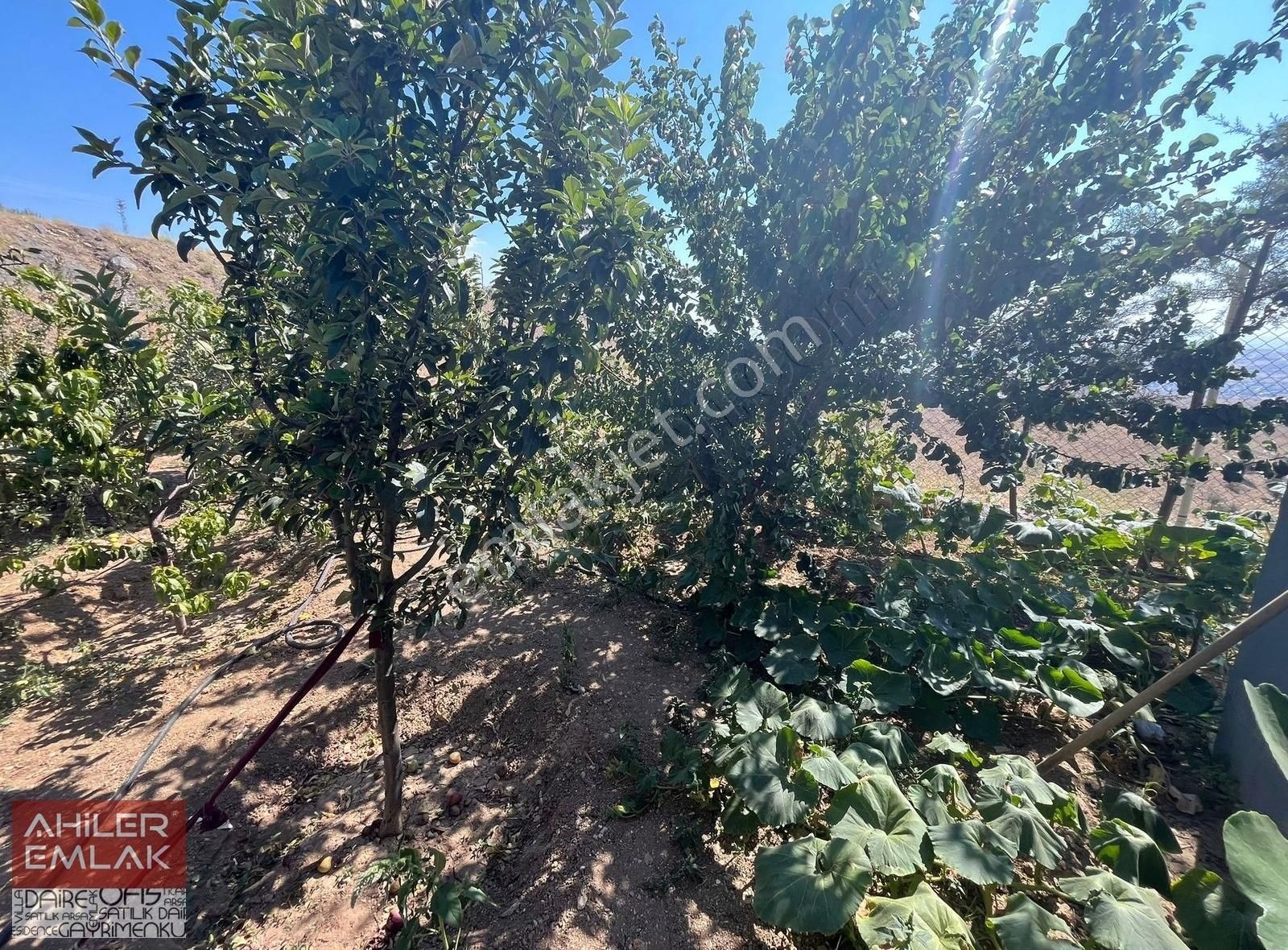 Ahiler'den İmarlı Arsa 225m2 1+1 Betonarme Evi Dahil Satılık