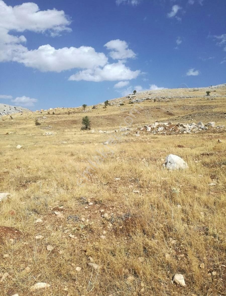 Korkuteli-kayabaş Köyünde Satılık Tarla - Görsel 4