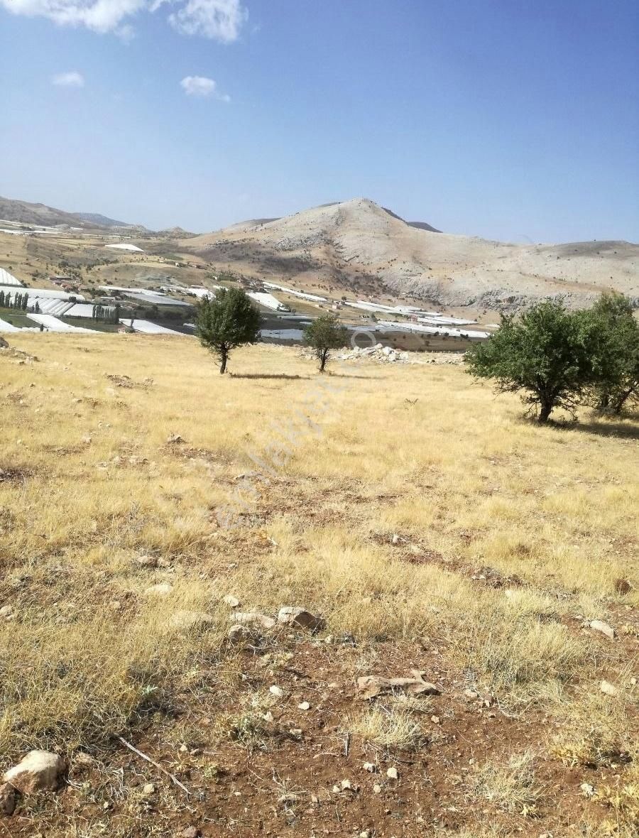 Korkuteli-kayabaş Köyünde Satılık Tarla - Görsel 3