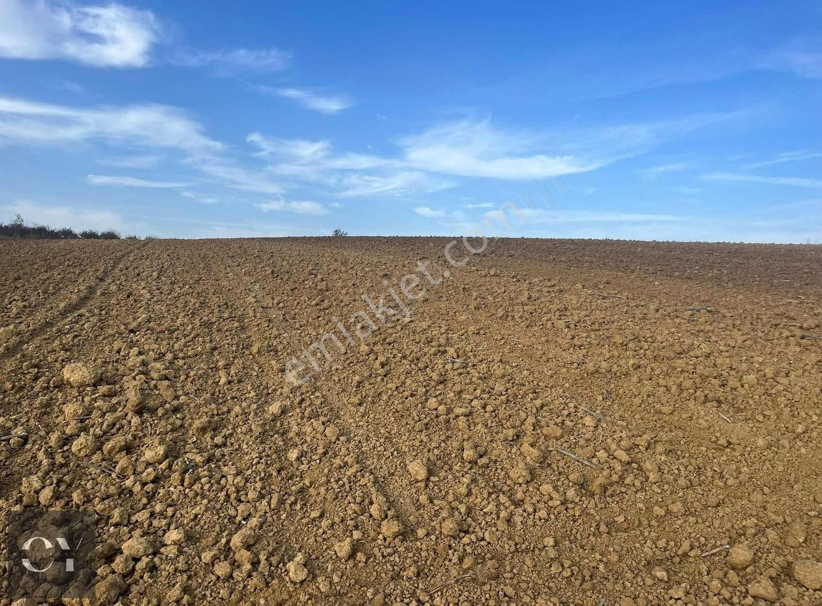 Adapazarı Karadere'de Araç Takasına Uygun 3345 M2 Tarla