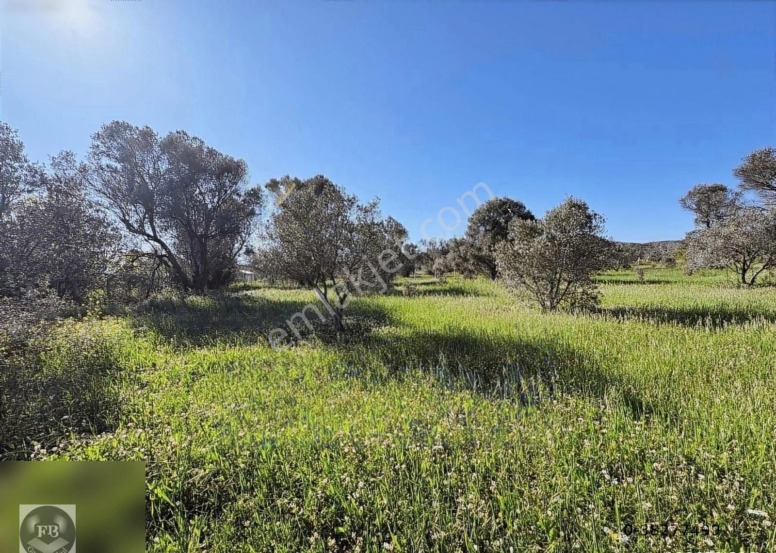 Fb Gayrimenkul'den Urla'da Yola Cephesi Olan 4732 M2 Tarla - Görsel 8