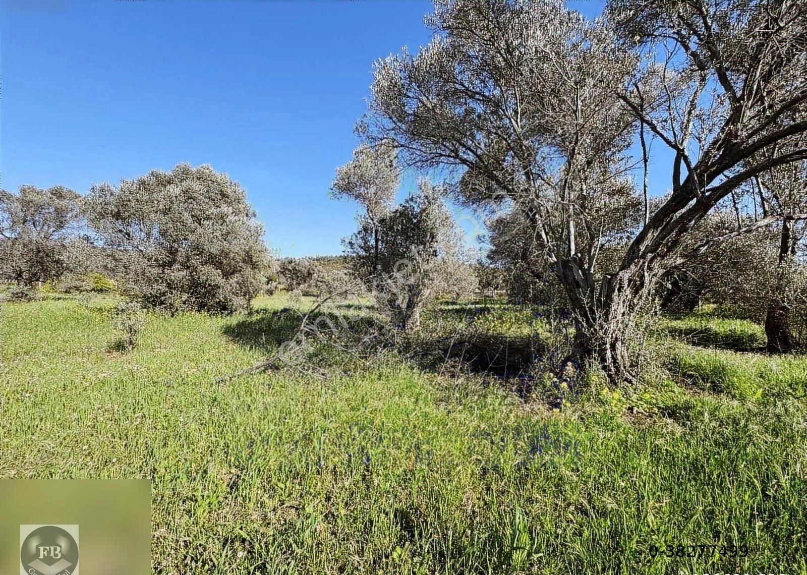 Fb Gayrimenkul'den Urla'da Yola Cephesi Olan 4732 M2 Tarla - Görsel 10