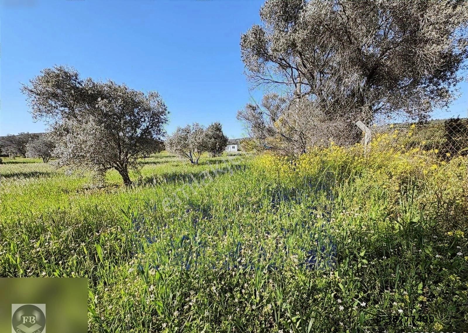 Fb Gayrimenkul'den Urla'da Yola Cephesi Olan 4732 M2 Tarla - Görsel 29