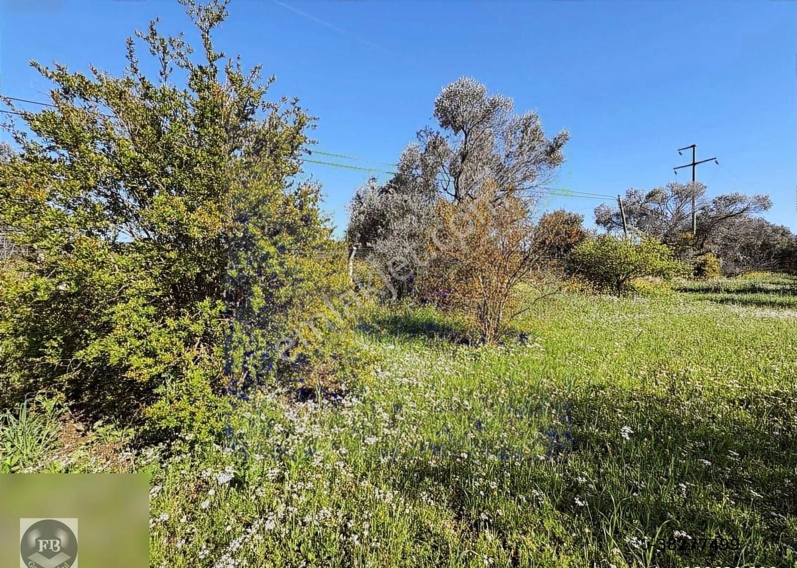 Fb Gayrimenkul'den Urla'da Yola Cephesi Olan 4732 M2 Tarla - Görsel 17