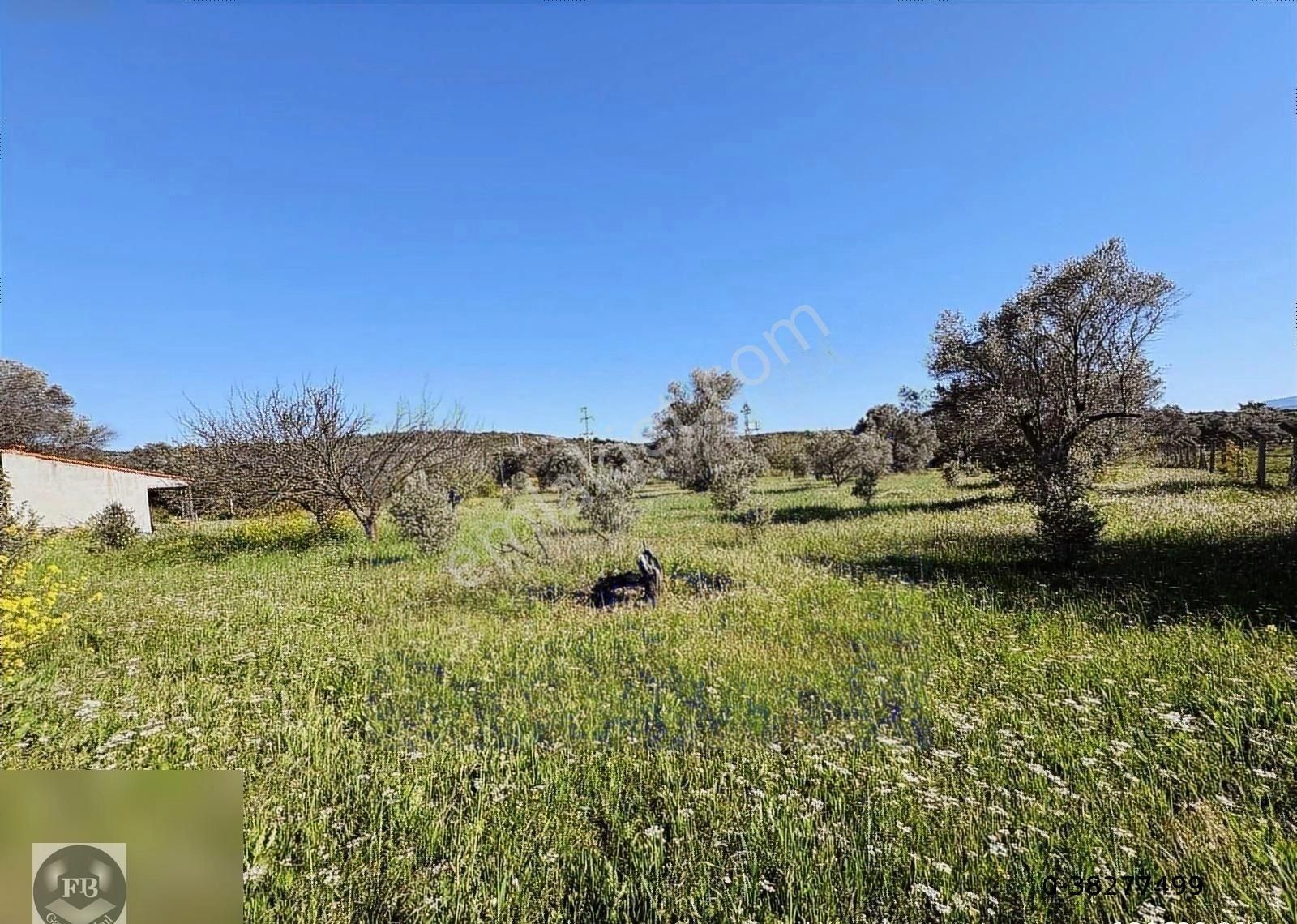 Fb Gayrimenkul'den Urla'da Yola Cephesi Olan 4732 M2 Tarla - Görsel 16