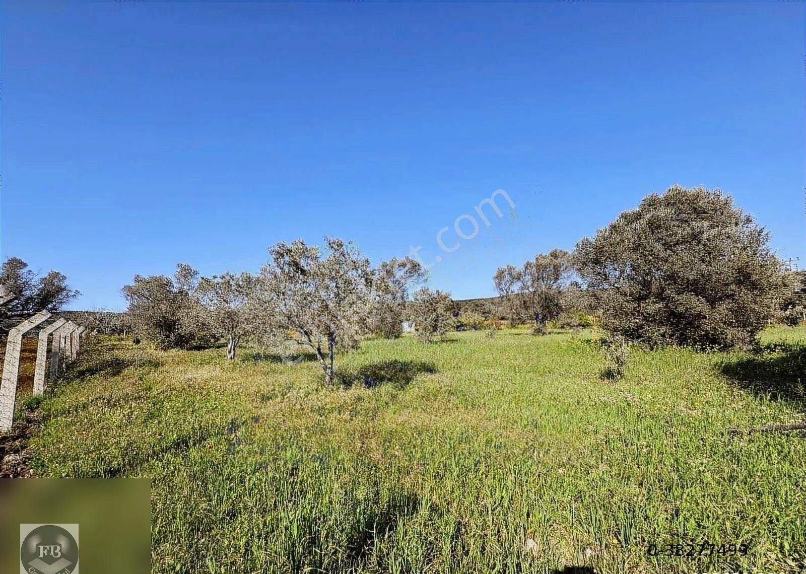 Fb Gayrimenkul'den Urla'da Yola Cephesi Olan 4732 M2 Tarla - Görsel 27