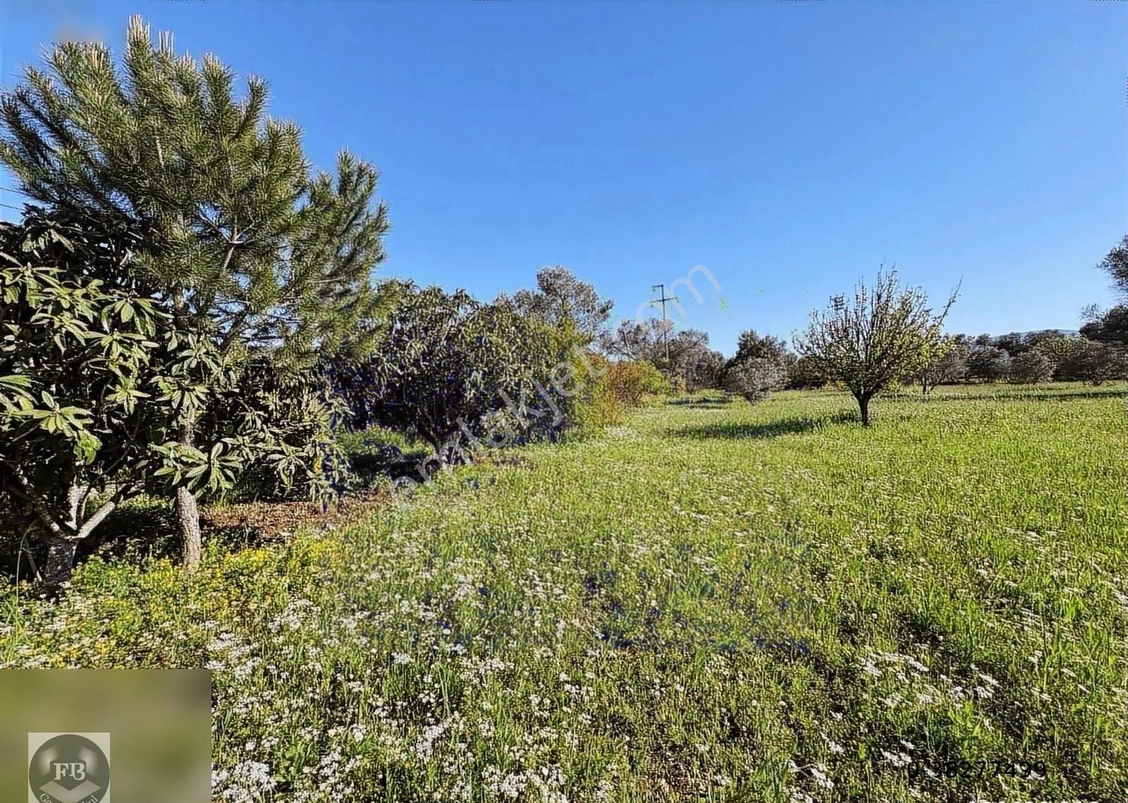 Fb Gayrimenkul'den Urla'da Yola Cephesi Olan 4732 M2 Tarla - Görsel 32