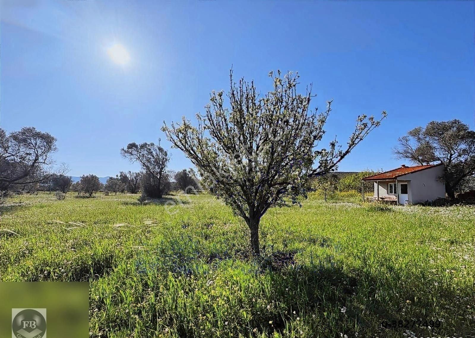 Fb Gayrimenkul'den Urla'da Yola Cephesi Olan 4732 M2 Tarla - Görsel 22