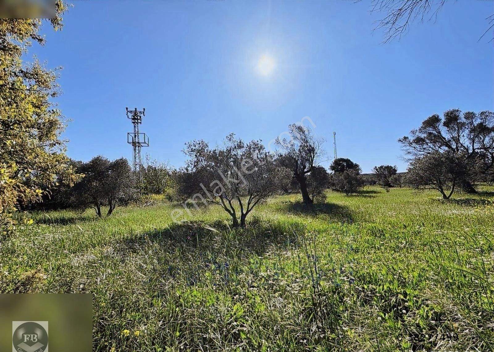 Fb Gayrimenkul'den Urla'da Yola Cephesi Olan 4732 M2 Tarla - Görsel 2