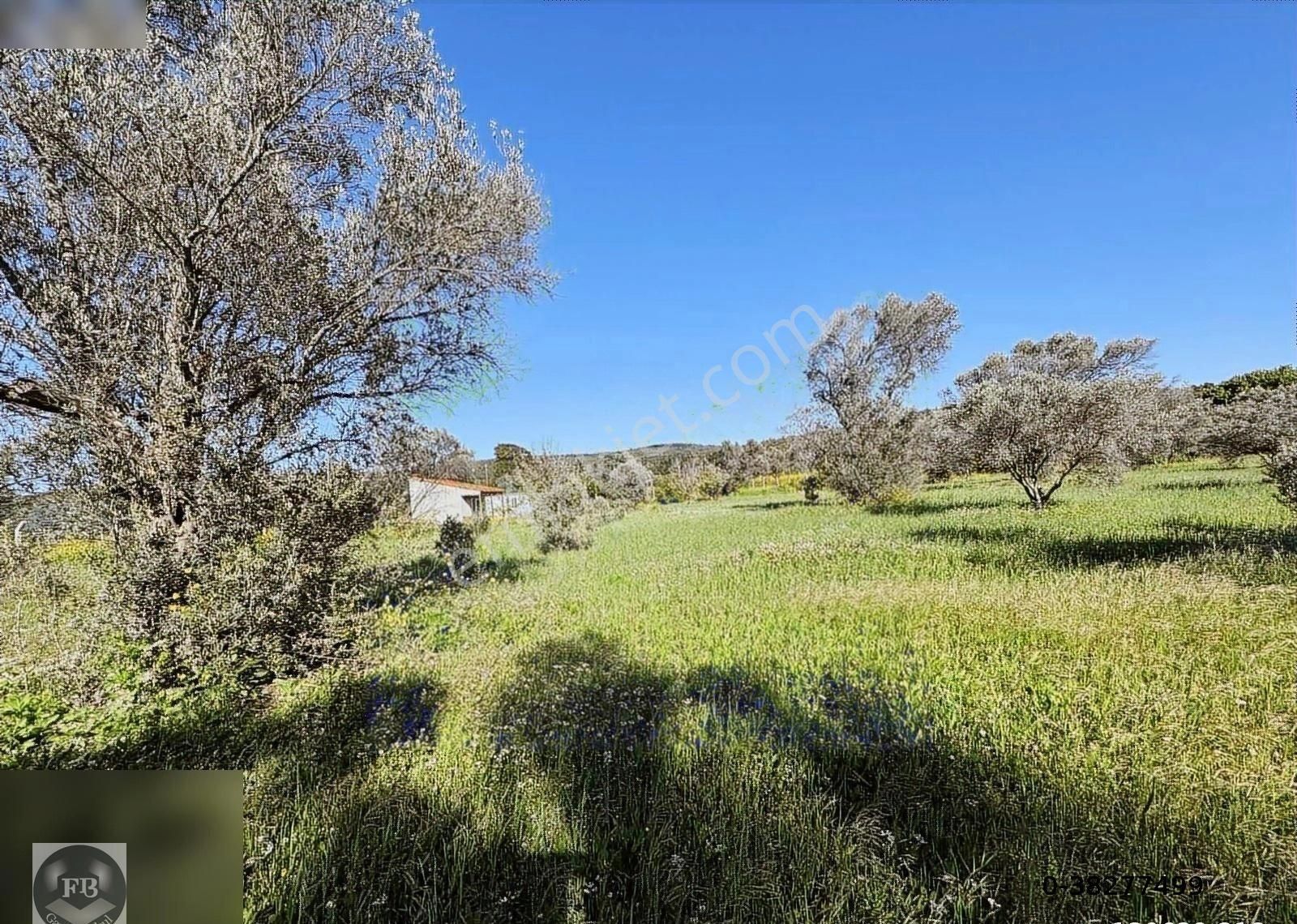 Fb Gayrimenkul'den Urla'da Yola Cephesi Olan 4732 M2 Tarla - Görsel 14