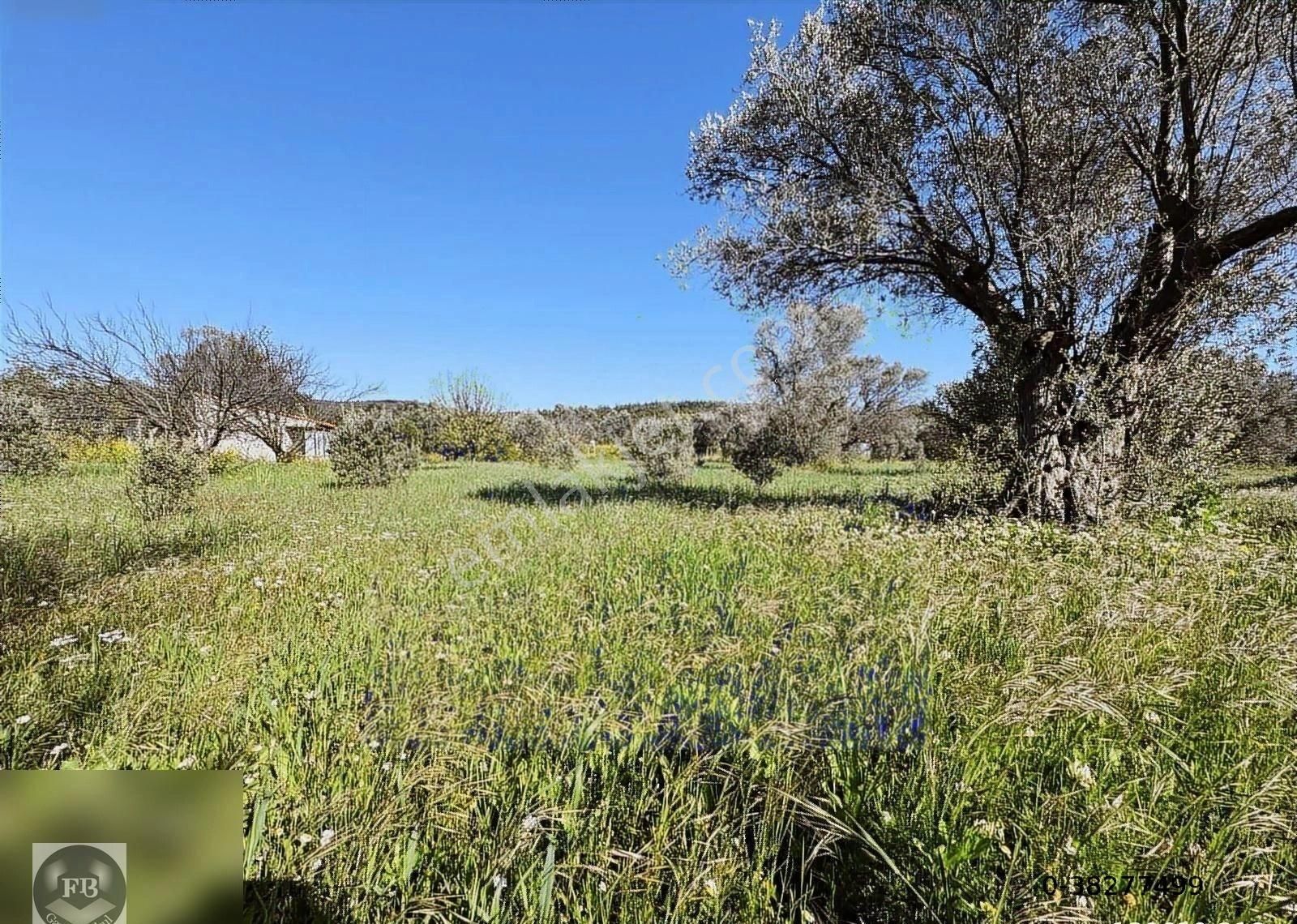 Fb Gayrimenkul'den Urla'da Yola Cephesi Olan 4732 M2 Tarla - Görsel 33