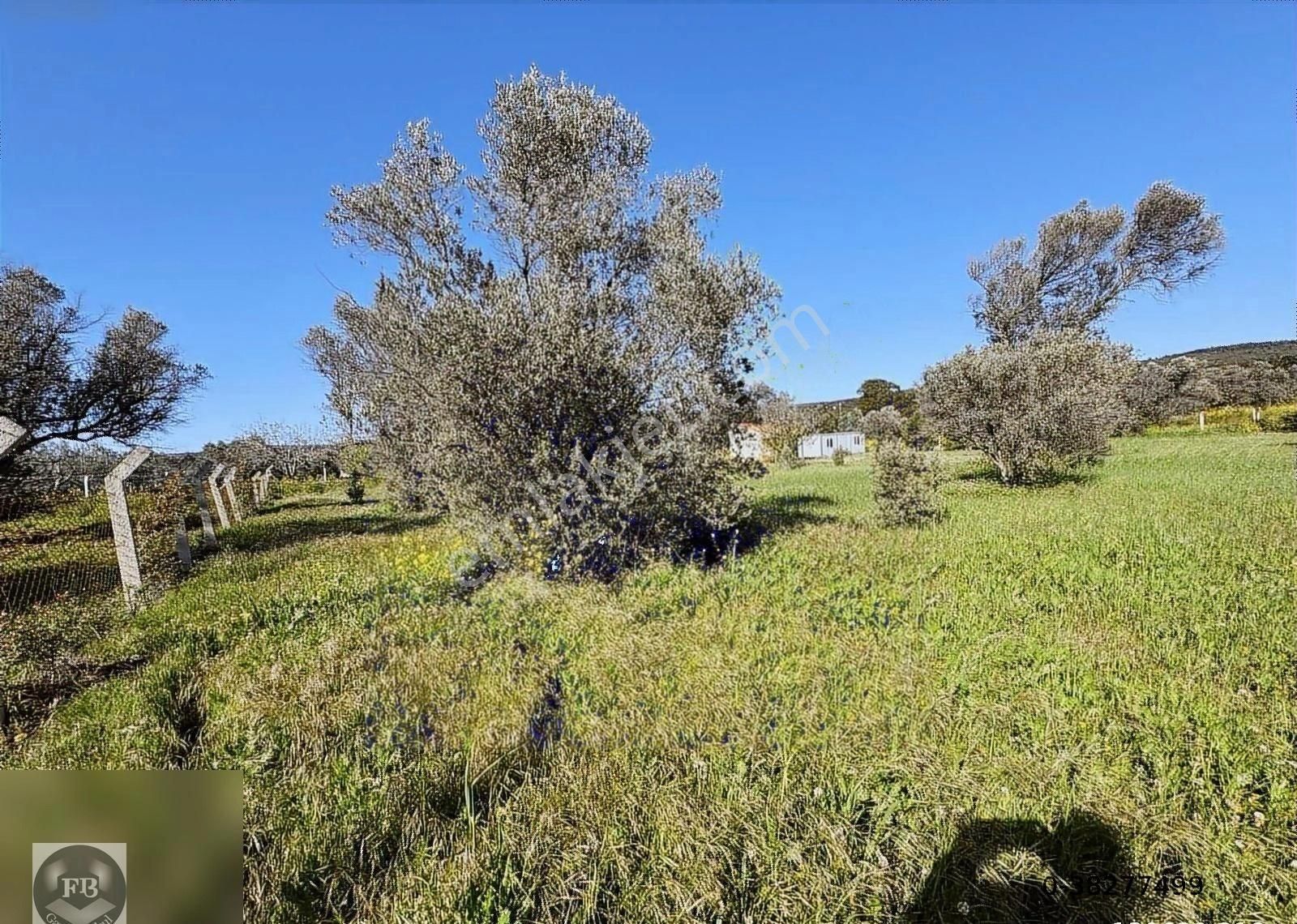 Fb Gayrimenkul'den Urla'da Yola Cephesi Olan 4732 M2 Tarla - Görsel 9