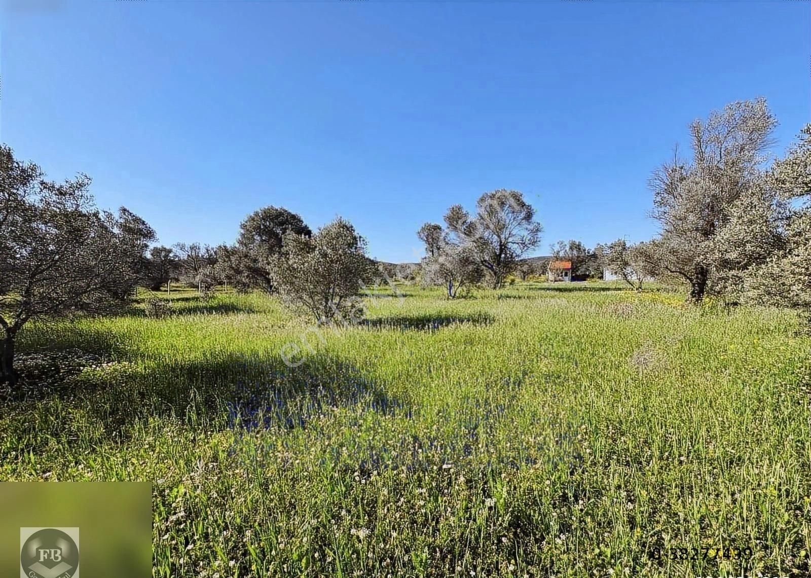 Fb Gayrimenkul'den Urla'da Yola Cephesi Olan 4732 M2 Tarla - Görsel 6