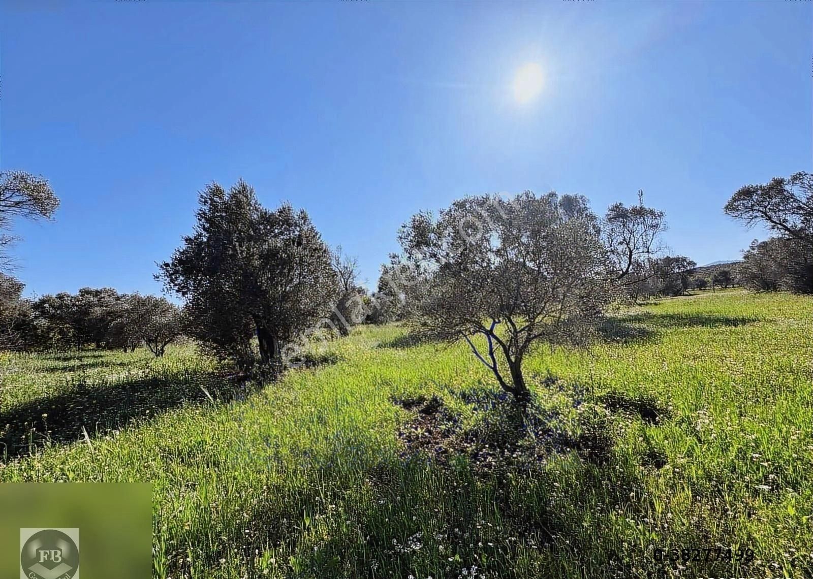 Fb Gayrimenkul'den Urla'da Yola Cephesi Olan 4732 M2 Tarla - Görsel 21