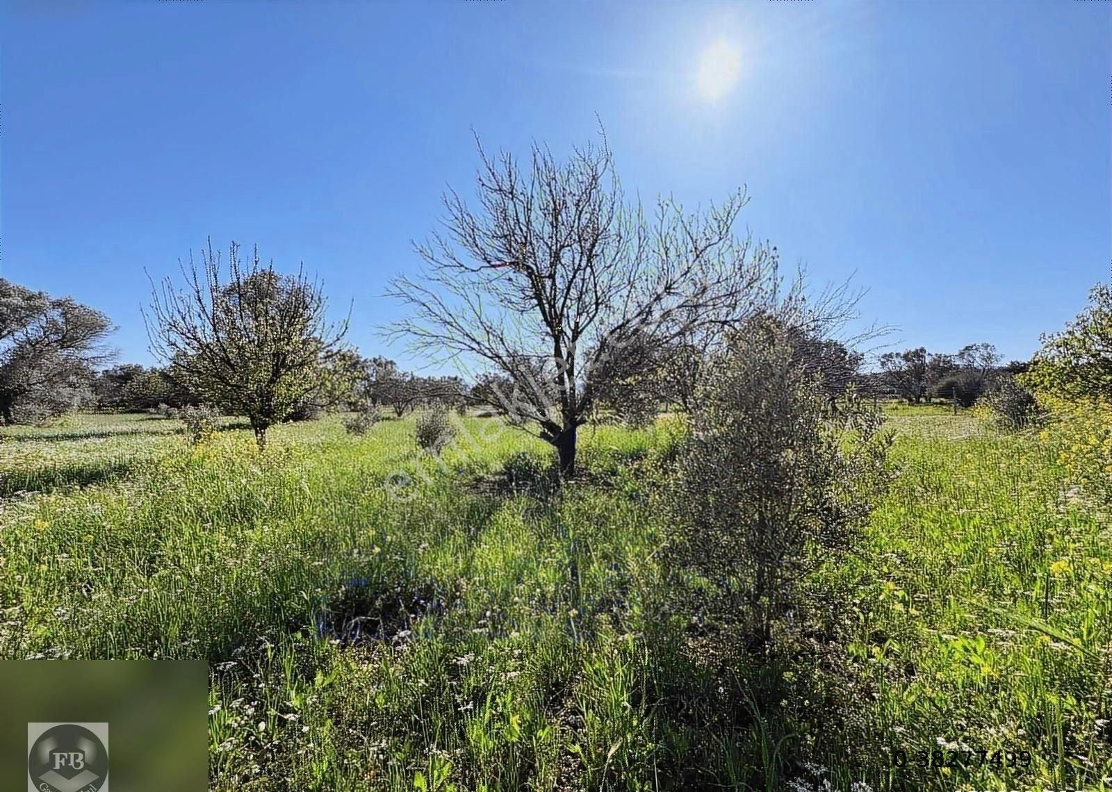 Fb Gayrimenkul'den Urla'da Yola Cephesi Olan 4732 M2 Tarla - Görsel 15