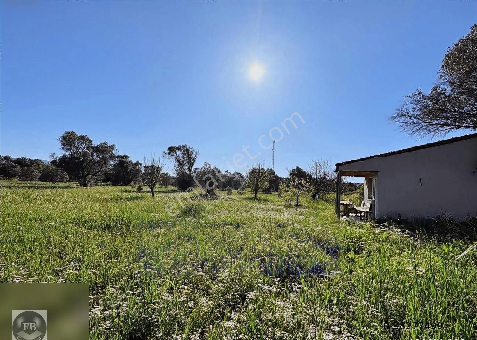 Fb Gayrimenkul'den Urla'da Yola Cephesi Olan 4732 M2 Tarla - Görsel 3