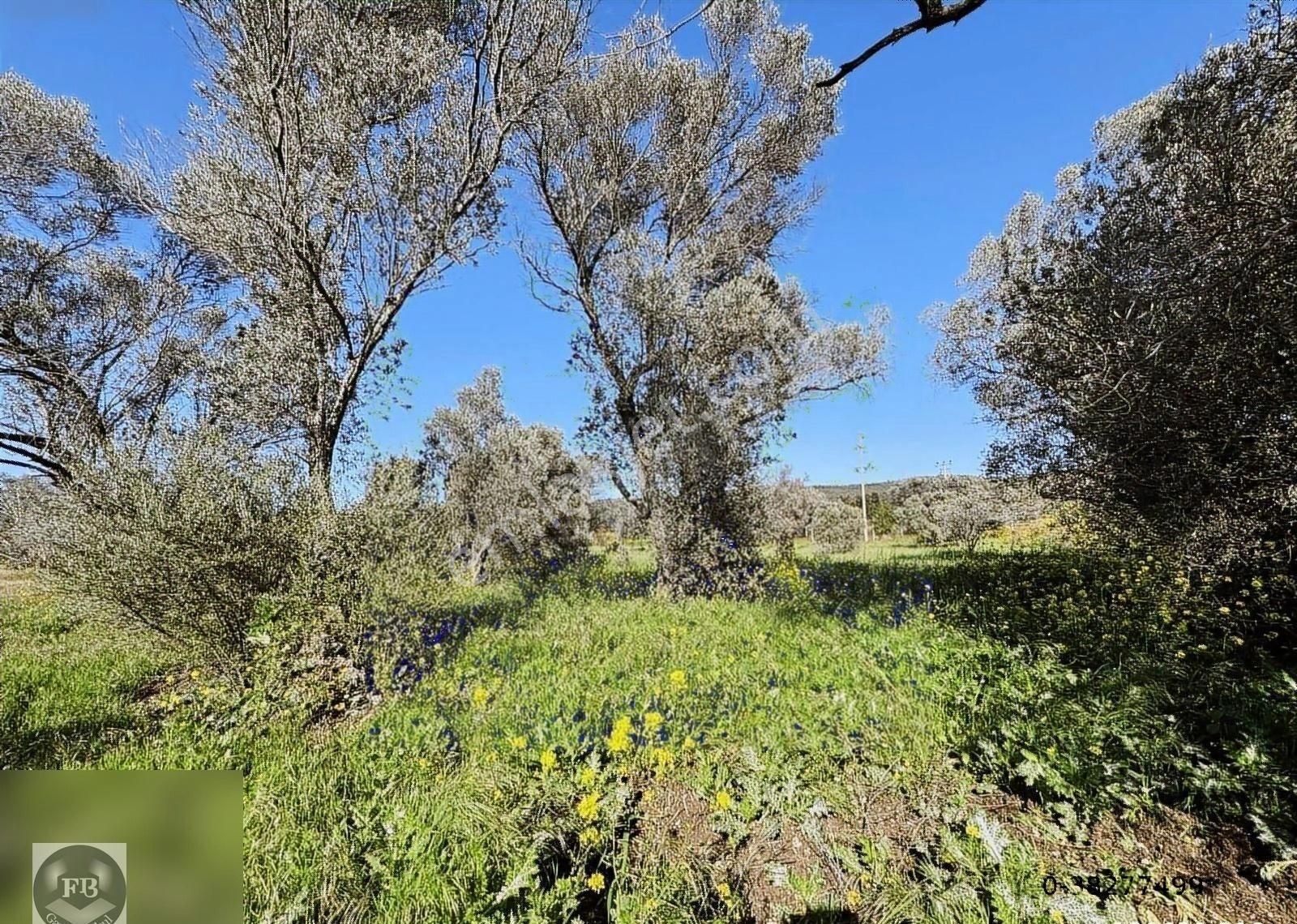 Fb Gayrimenkul'den Urla'da Yola Cephesi Olan 4732 M2 Tarla - Görsel 28