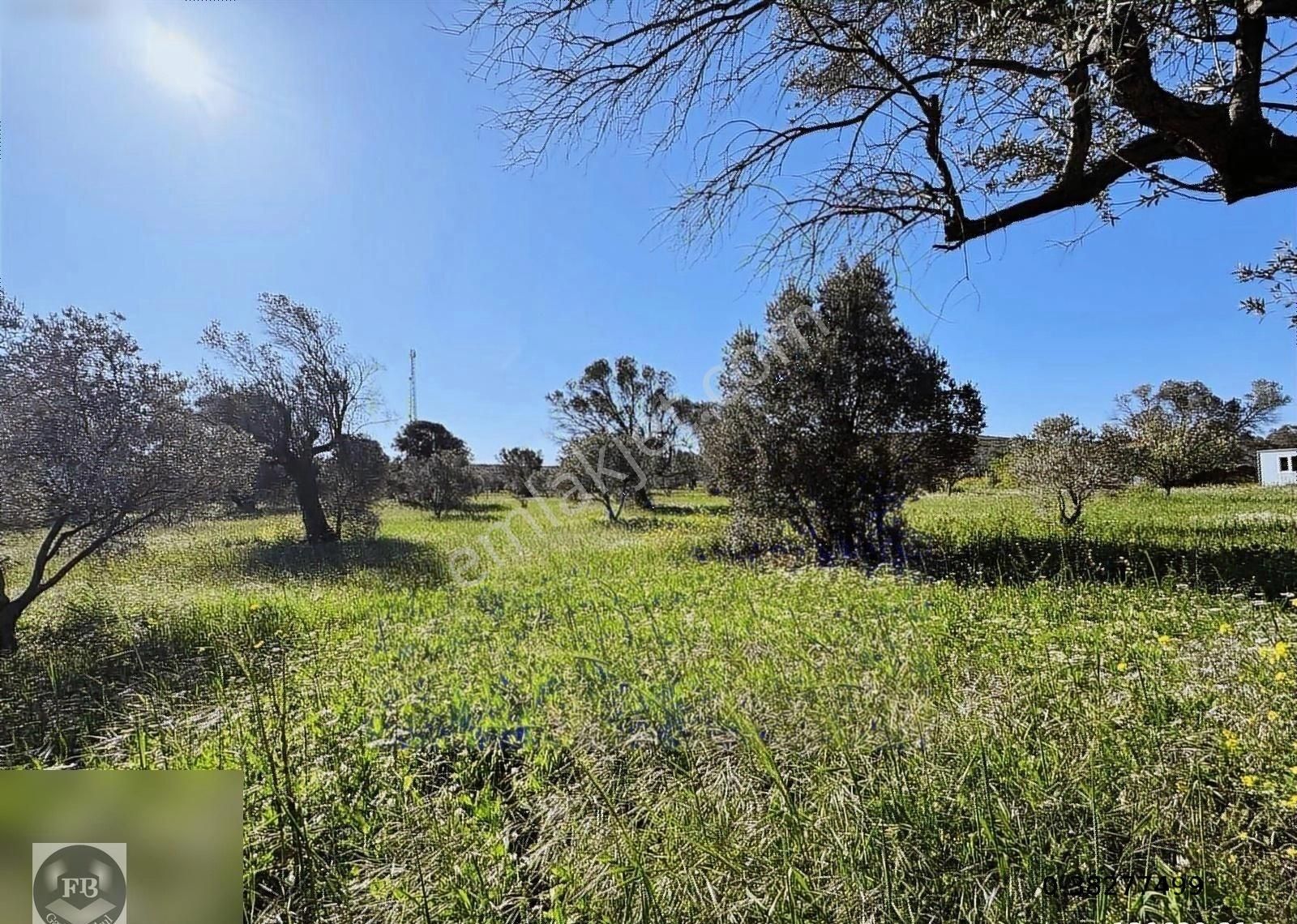 Fb Gayrimenkul'den Urla'da Yola Cephesi Olan 4732 M2 Tarla - Görsel 24