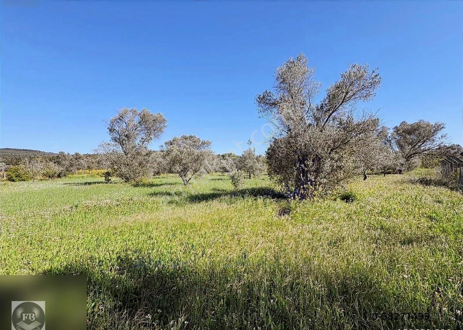 Fb Gayrimenkul'den Urla'da Yola Cephesi Olan 4732 M2 Tarla - Görsel 12