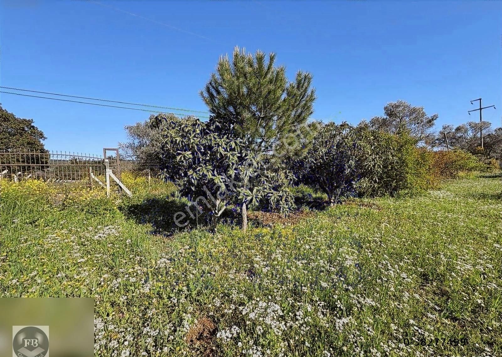 Fb Gayrimenkul'den Urla'da Yola Cephesi Olan 4732 M2 Tarla - Görsel 20