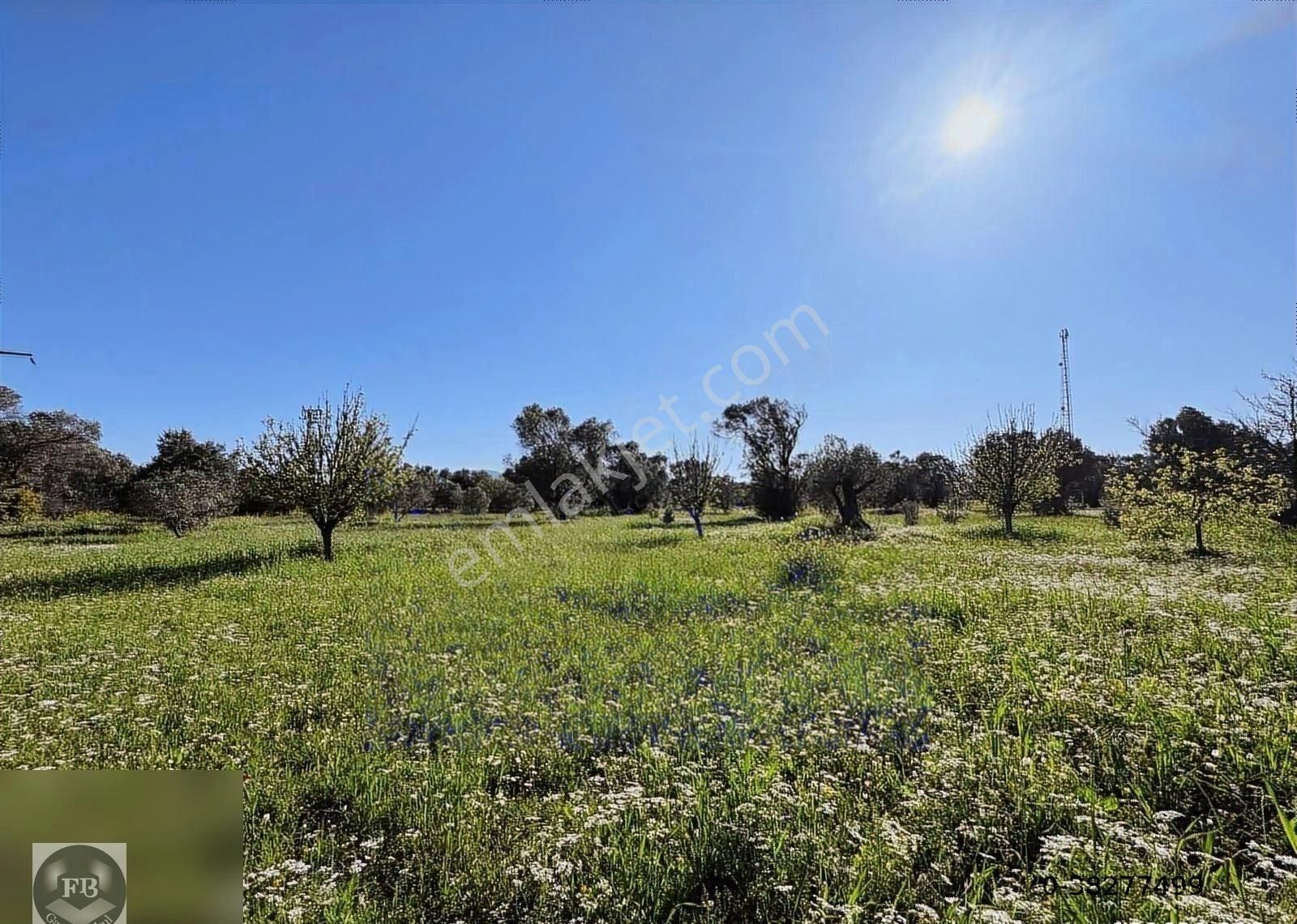Fb Gayrimenkul'den Urla'da Yola Cephesi Olan 4732 M2 Tarla - Görsel 31