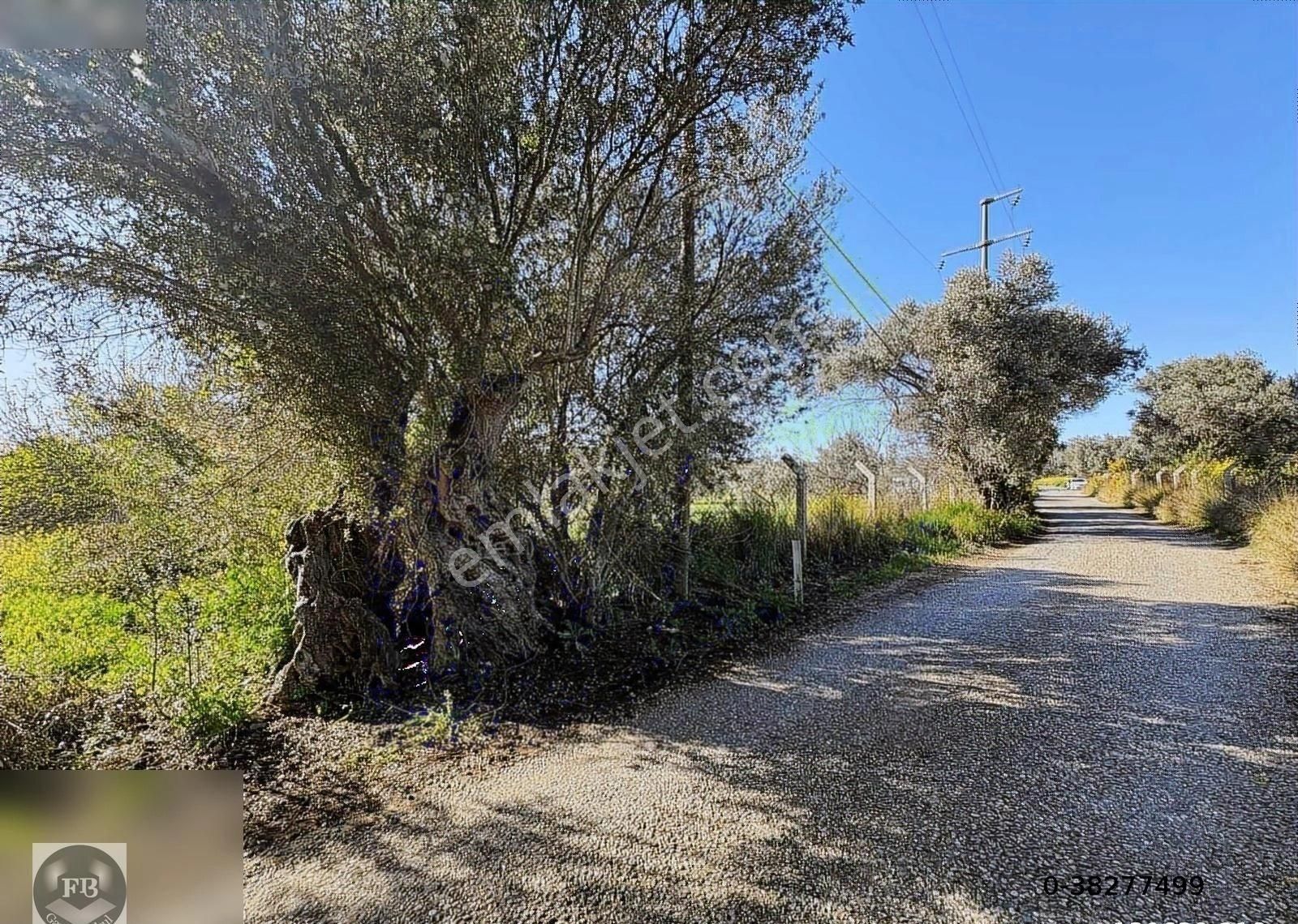 Fb Gayrimenkul'den Urla'da Yola Cephesi Olan 4732 M2 Tarla - Görsel 18