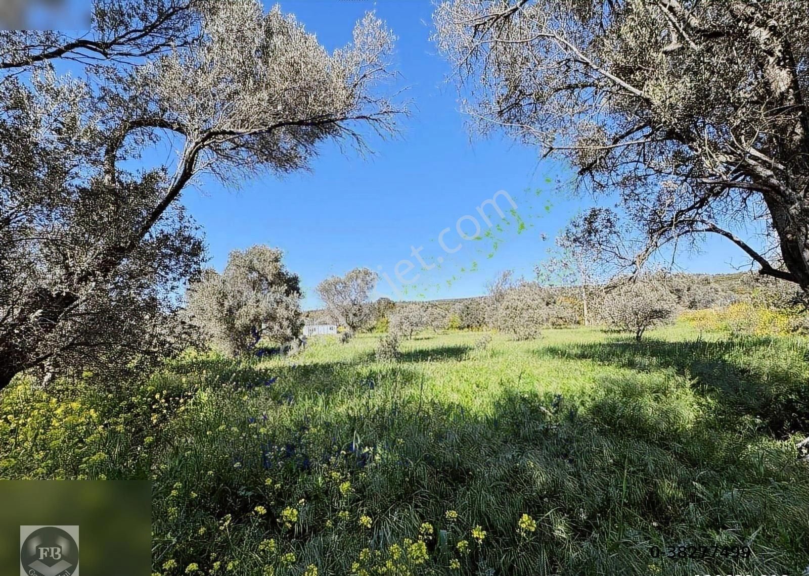 Fb Gayrimenkul'den Urla'da Yola Cephesi Olan 4732 M2 Tarla - Görsel 13