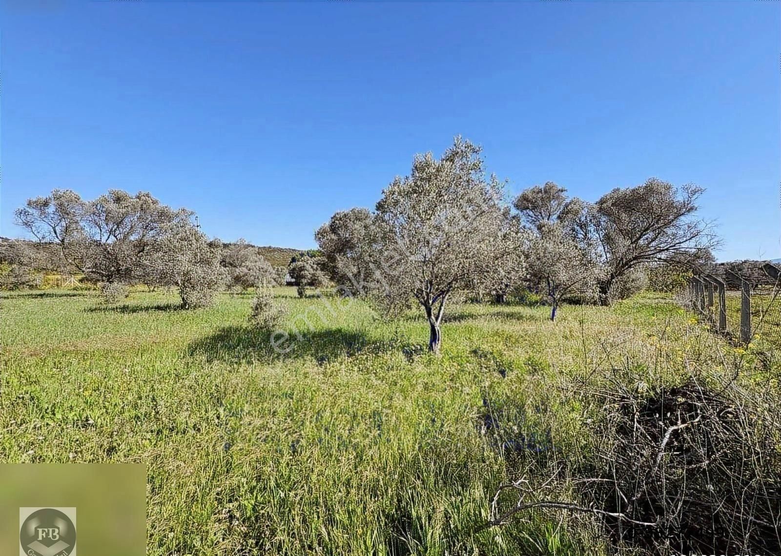 Fb Gayrimenkul'den Urla'da Yola Cephesi Olan 4732 M2 Tarla - Görsel 23