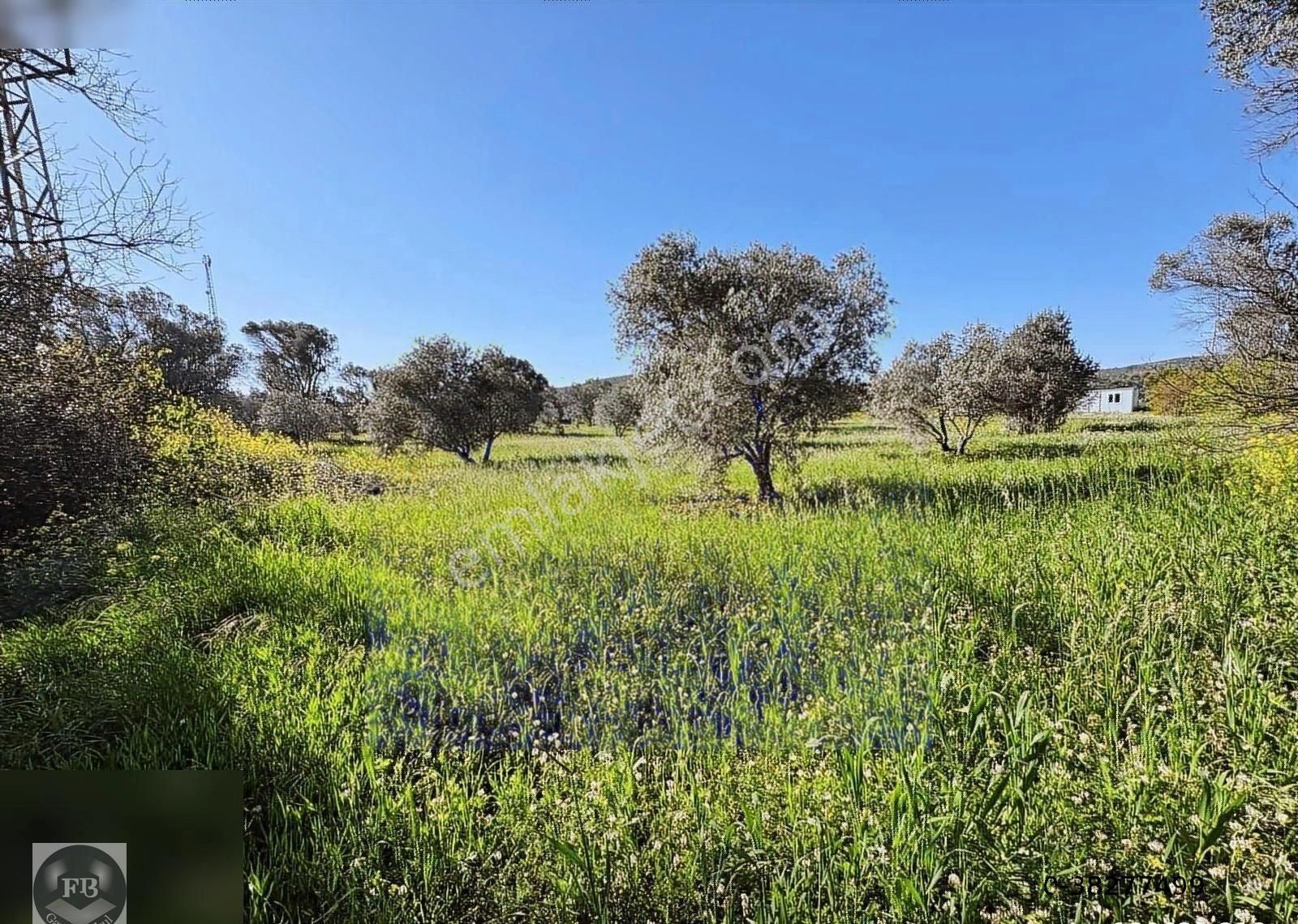 Fb Gayrimenkul'den Urla'da Yola Cephesi Olan 4732 M2 Tarla - Görsel 19