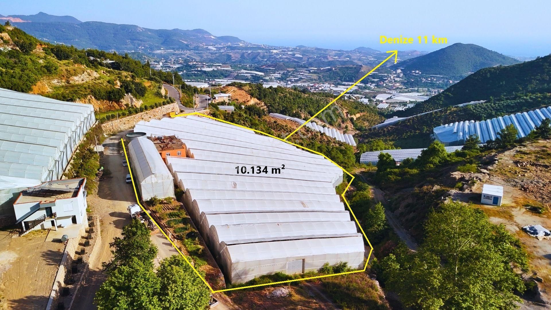 Satılık 10.134 M² Muz Serası, Alanya-toslak
