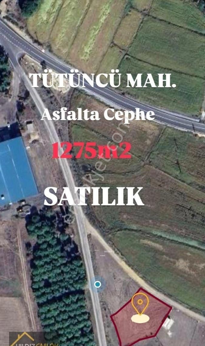 Satılık Tarla – Gönen Tütüncü Mahallesi’nde Asfalta Cephe 1275m2