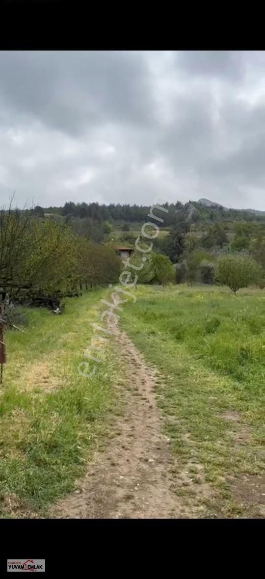 Sakarya Geyve Çengel Resmi Yollu 2 Parsel Köy İçi