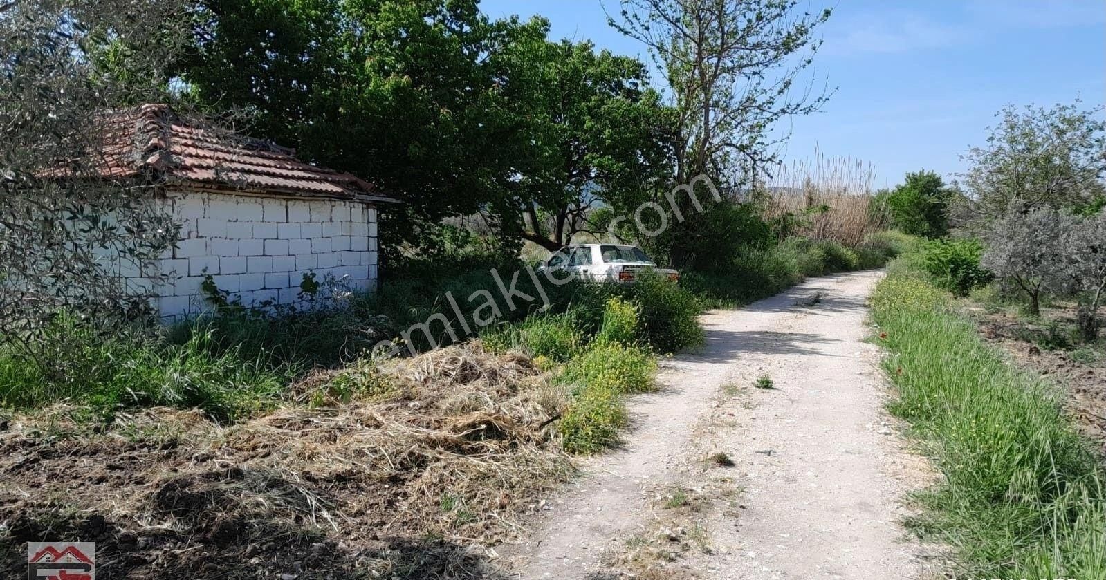 Kırkağaç İlyaslar Fahri Sertel Emlaktan Satılık Damlı Tarla