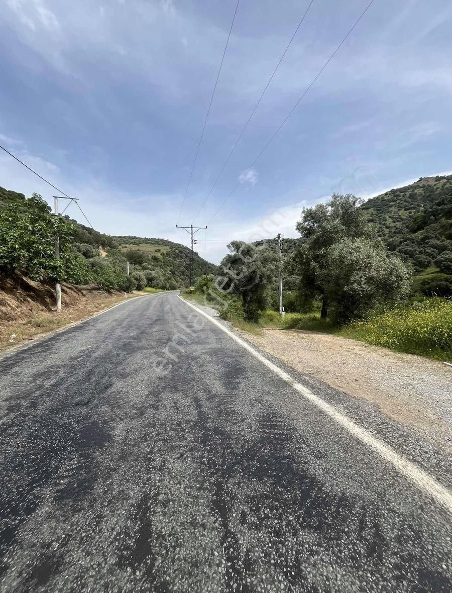Nazilli Bayındır Mah.satılık 1880m2 Tarla