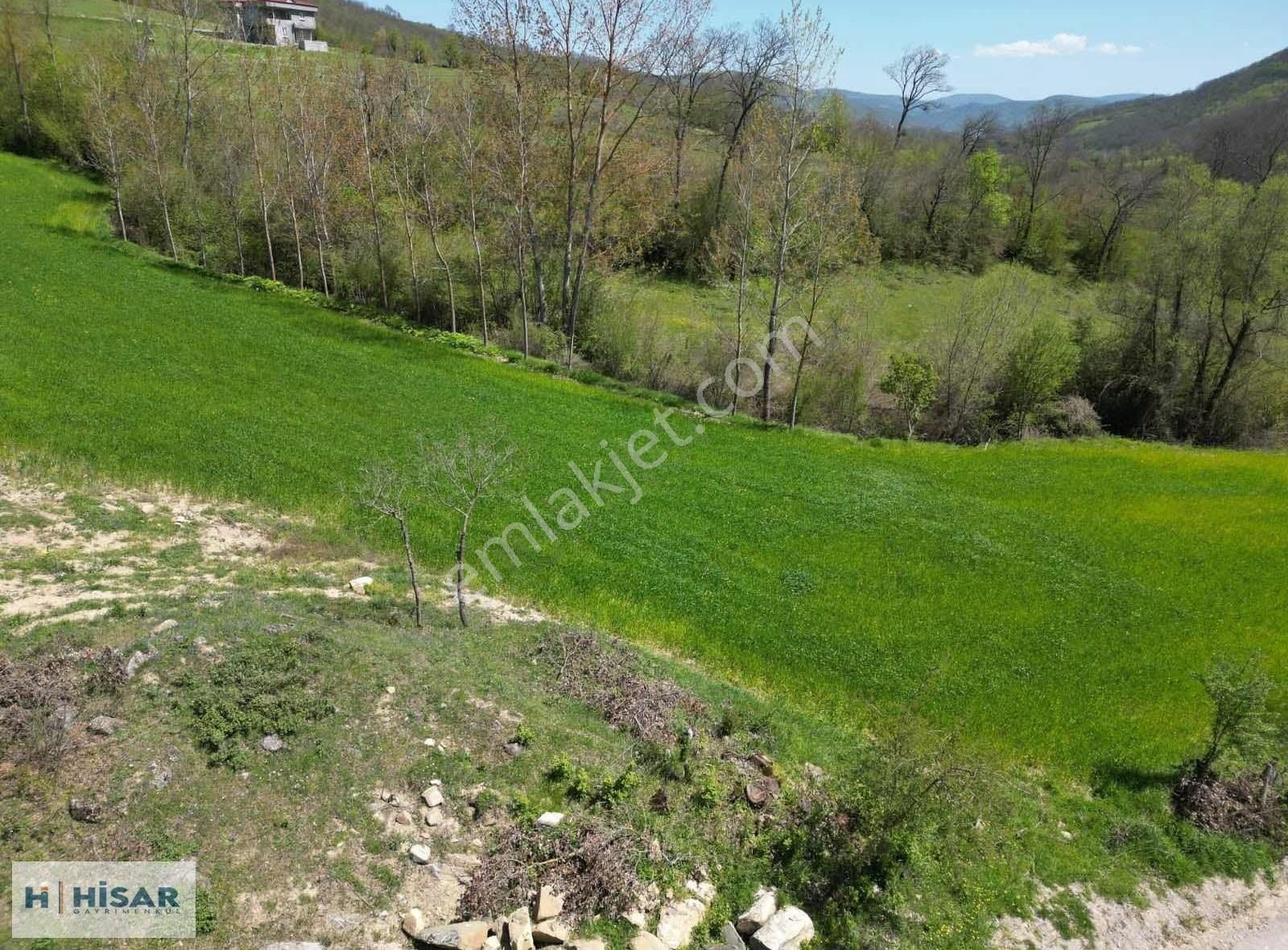 Hisar'dan Kavak Degirmencili Köyünde Köşe Başı Tarla