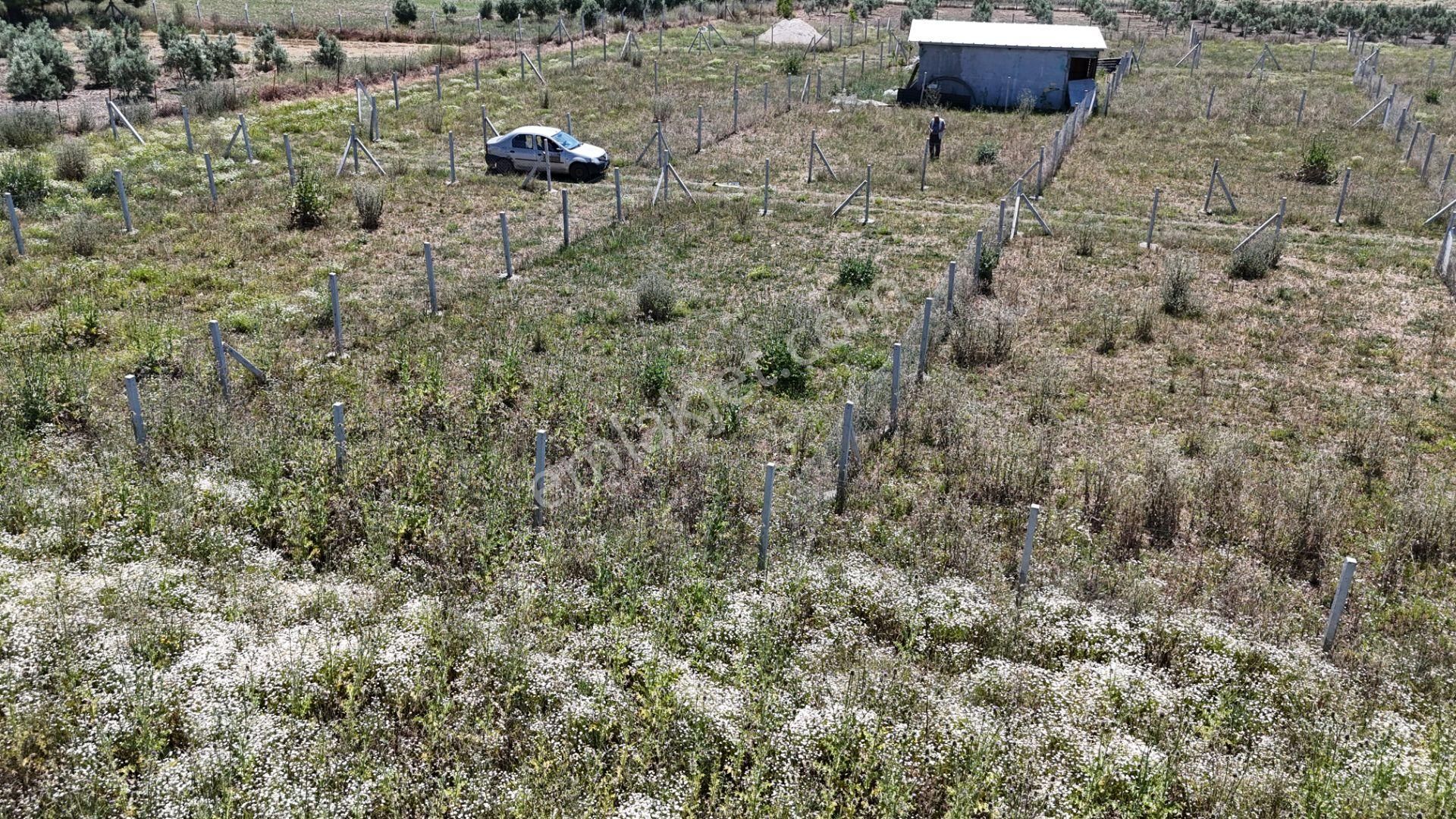 Tekeli 2 Ada 1 Parselde 270 M2 Noter Satışlı Hobi Bahçesi Menderes İzmir