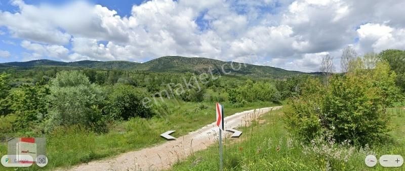 Ilgın Gökçeyurt'ta 2333m2 Yeşillikler İçinde Yola Cepheli Bahçe