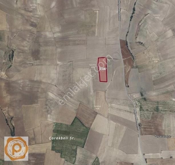 Pazarki Emlaktan Tatlarin Ballık Mevkinde 11027 M2 Arazi