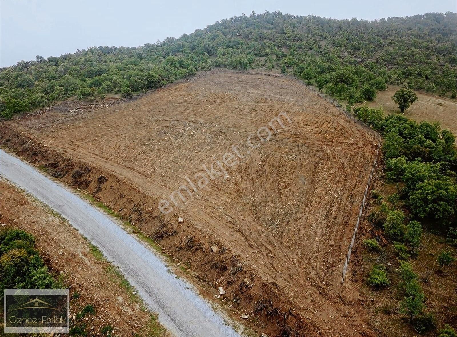 Manisa Salihli Poyraz Da 8.5 Dönüm Zeytinlik