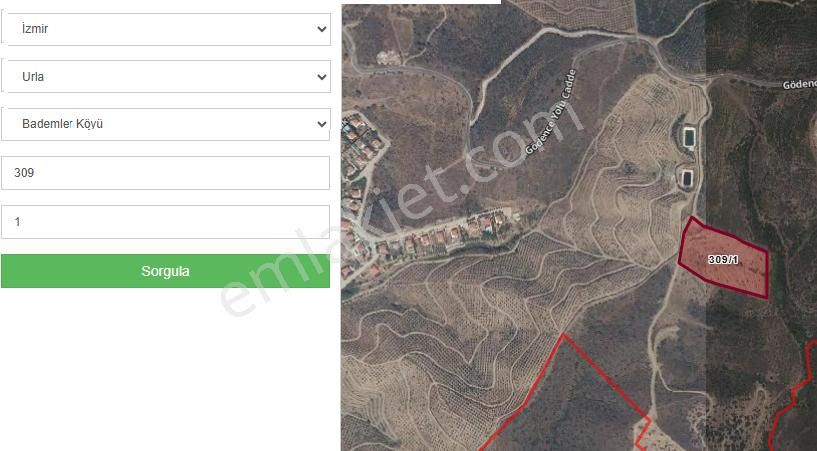 Urla Bademler'de Kadastral Yola Cepheli 14.988 M2 Zeytinlik