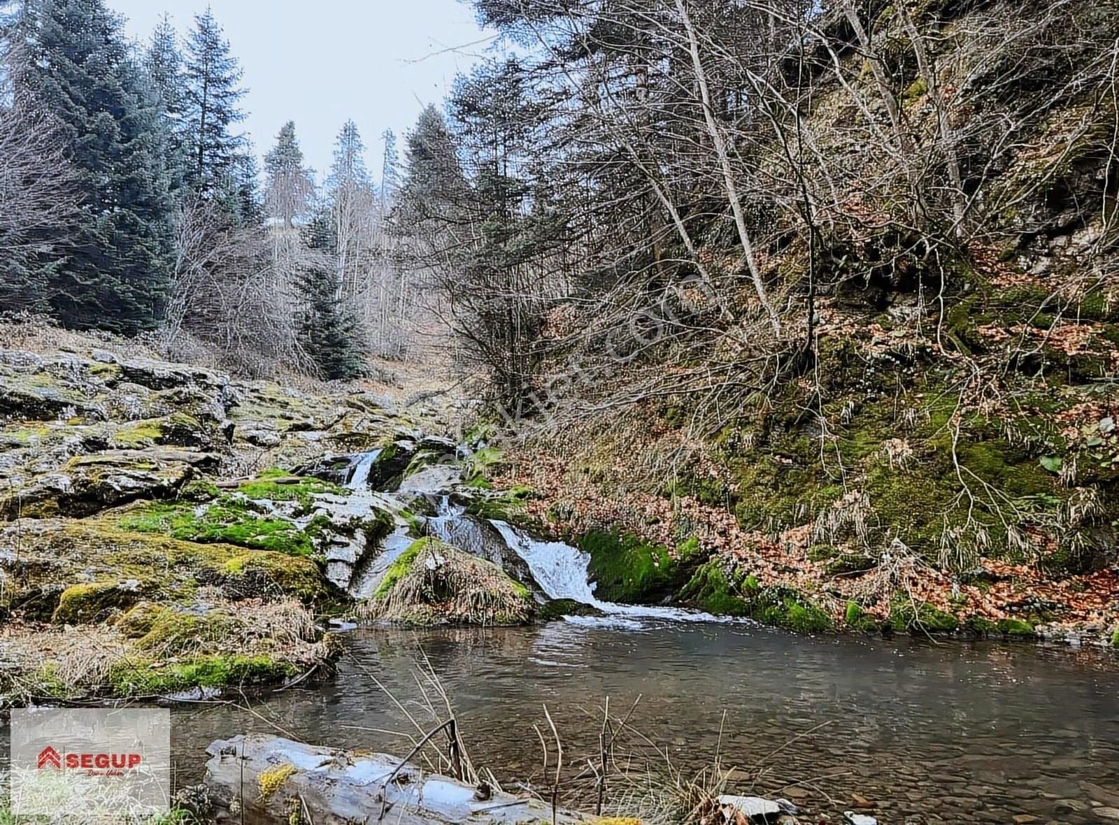 Alaçam Uzunkıraç Asfalt Yol Ve Akarsuyacephe Muhteşem Köşe Tarla