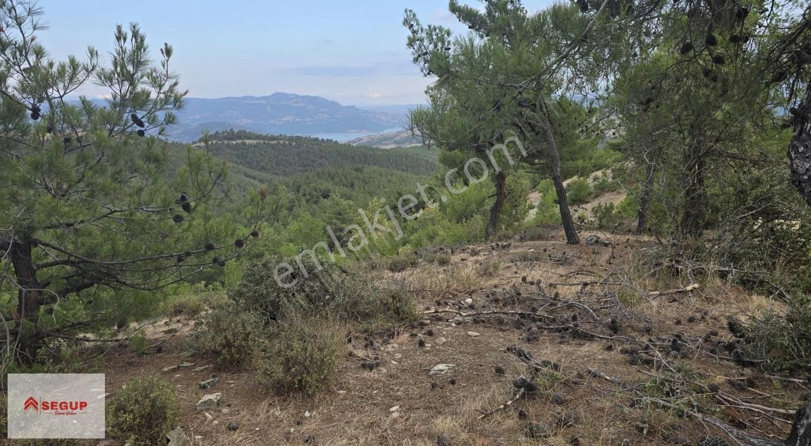 Alaçam Gümüşova'da Kanyon Manzaralı 2.468 M² Yola Cephe Tek Tapu
