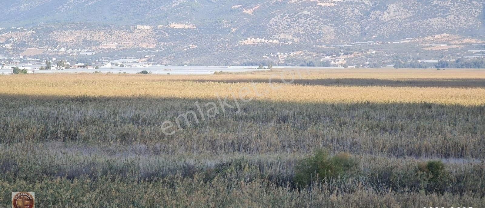 Acil İhtiyaçtan Kaş-üzümlüde 6.204m2 Sera Arsası - Görsel 16